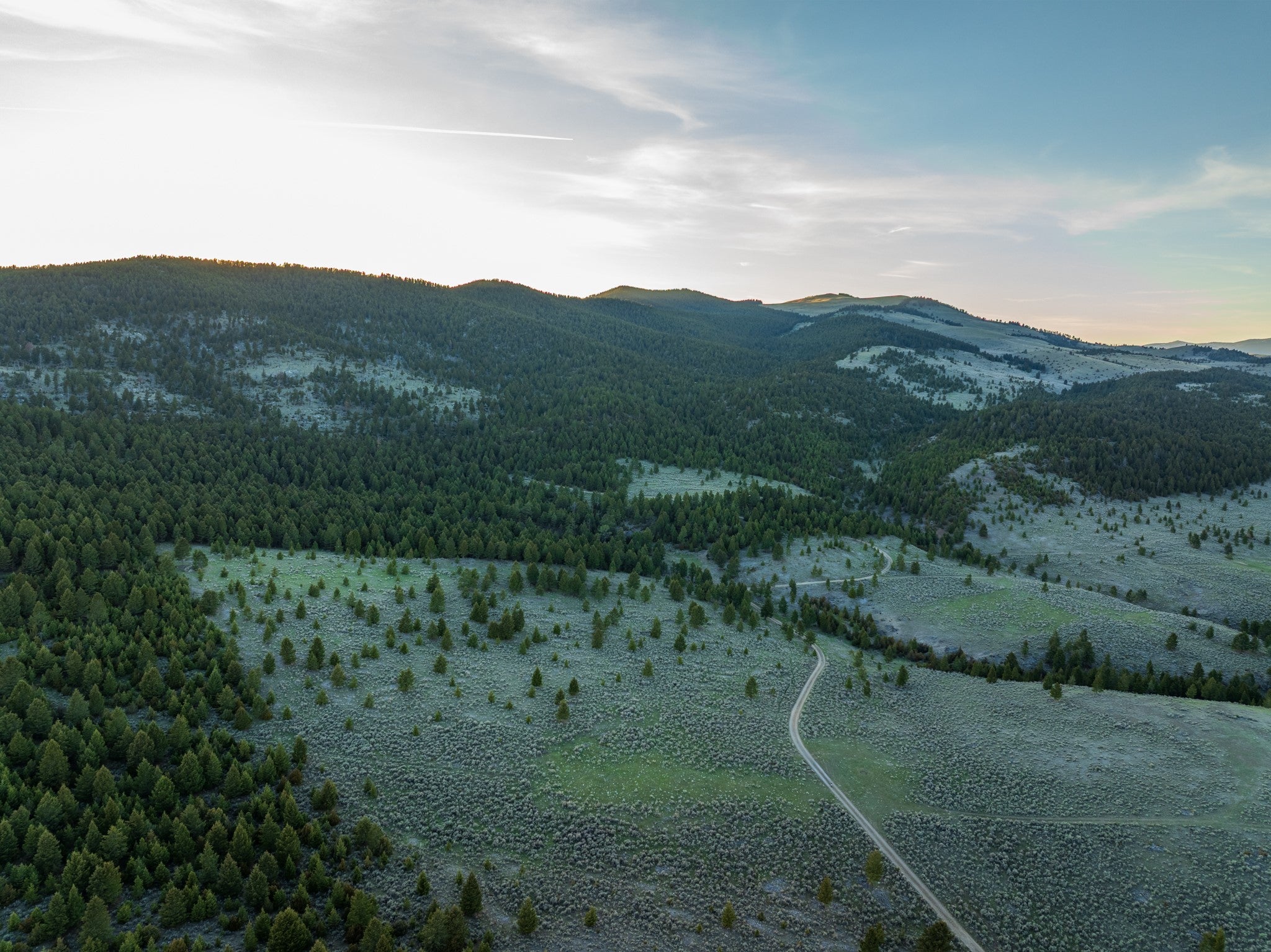 Tbd Tbd Keating Gulch Road Toston, MT 59643 - Photo 6 of 22 Gallery Image 6
