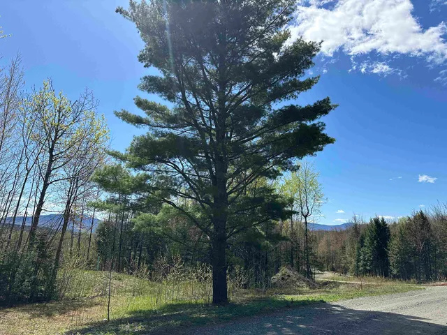 $225,000 | 274 Deerfield Hls Road, Morristown, VT 05661