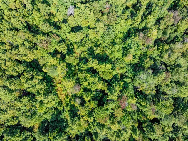 $225,000 | 274 Deerfield Hls Road, Morristown, VT 05661