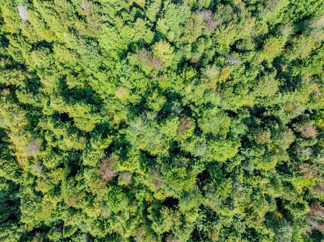 $225,000 | 274 Deerfield Hls Road, Morristown, VT 05661