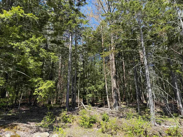 $225,000 | 274 Deerfield Hls Road, Morristown, VT 05661