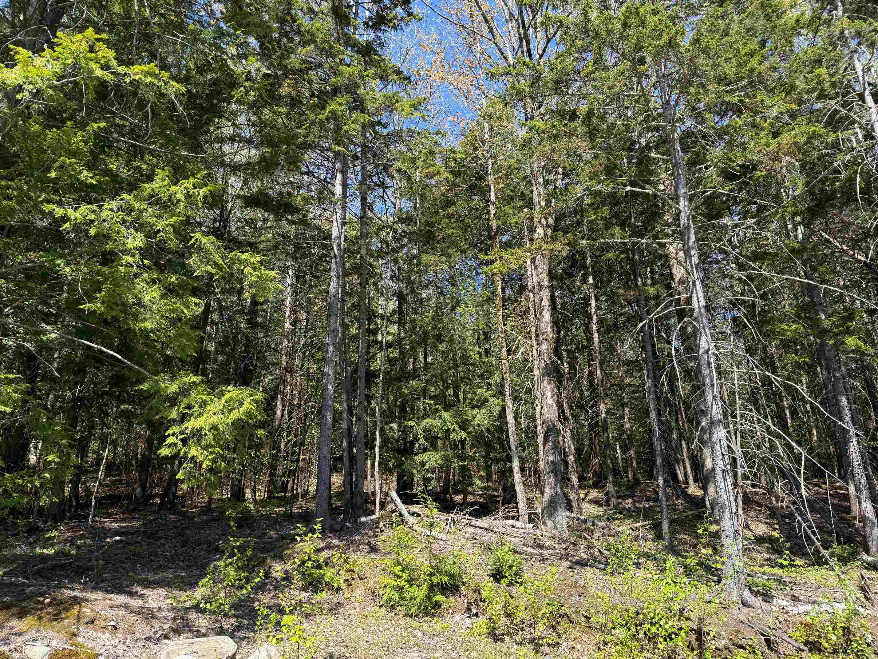274 Deerfield Hls Road Morristown, VT 05661 - Photo 2 of 19