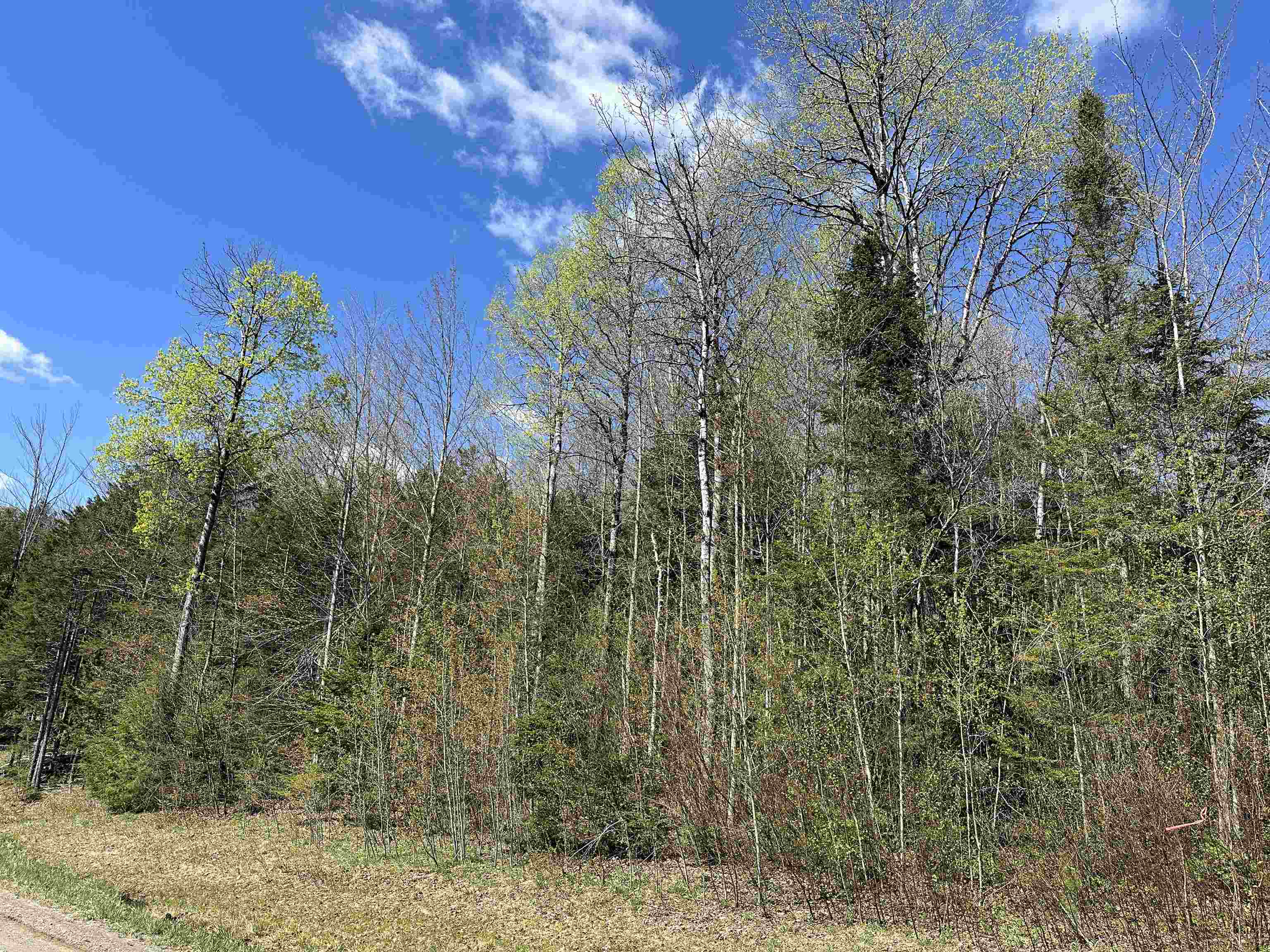 274 Deerfield Hls Road Morristown, VT 05661 - Photo 6 of 19