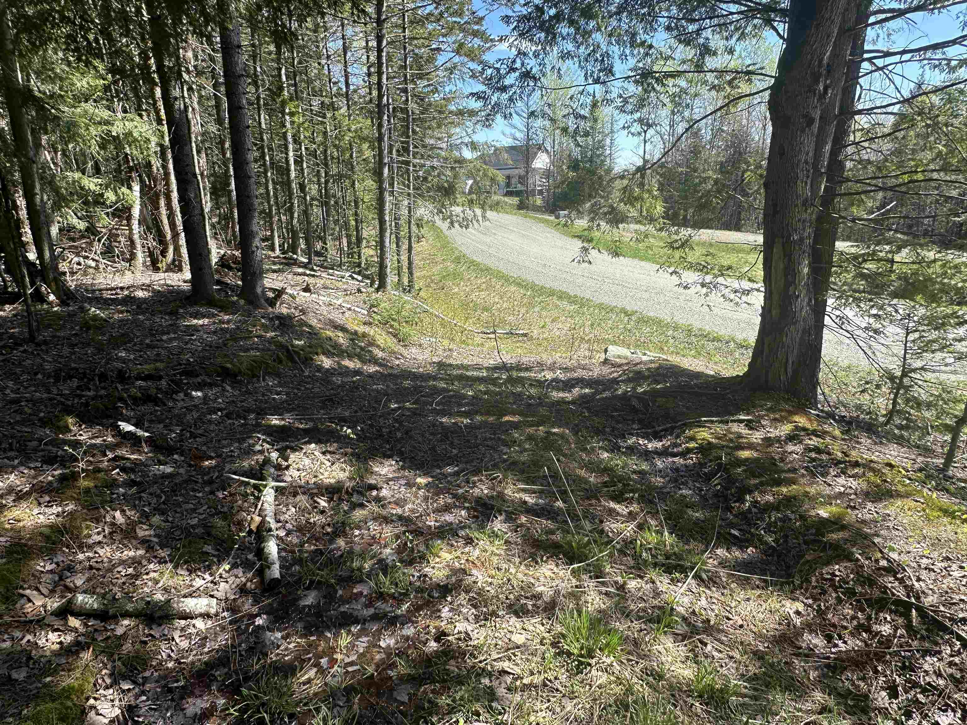 274 Deerfield Hls Road Morristown, VT 05661 - Photo 7 of 19