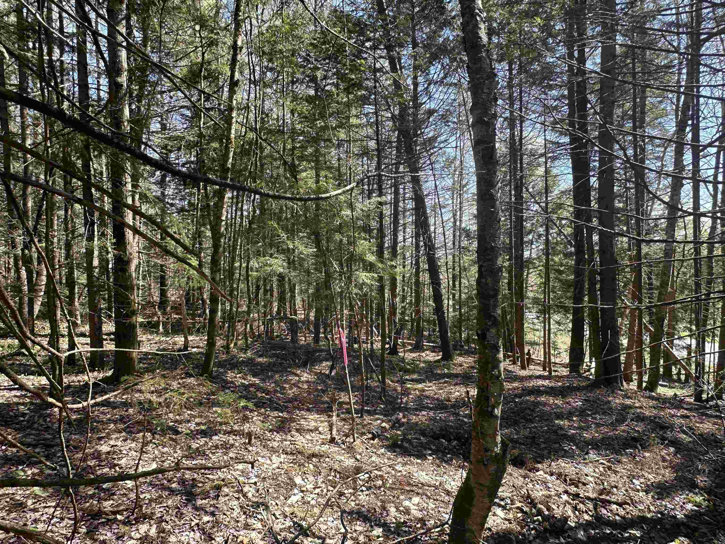 274 Deerfield Hls Road Morristown, VT 05661 - Photo 8 of 19