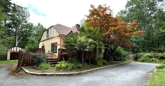 a view of backyard with plants and outdoor seating