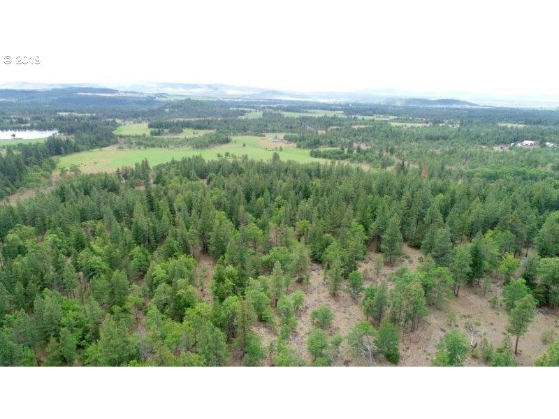 518 Tyler Road Goldendale, WA 98620 - Photo 1 of 6 Gallery Image 1