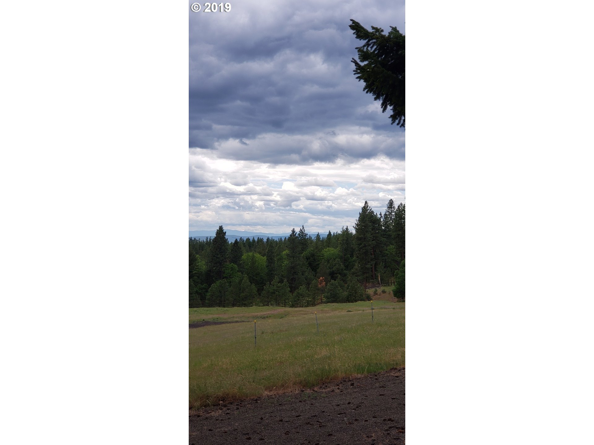 518 Tyler Road Goldendale, WA 98620 - Photo 2 of 6 Gallery Image 2