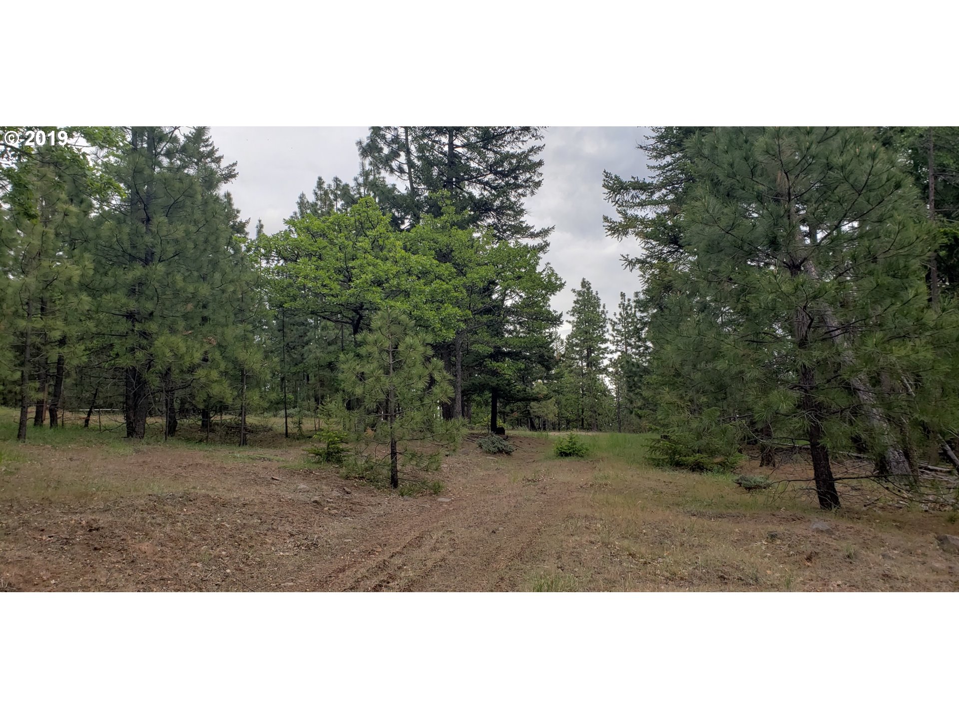 518 Tyler Road Goldendale, WA 98620 - Photo 6 of 6 Gallery Image 6