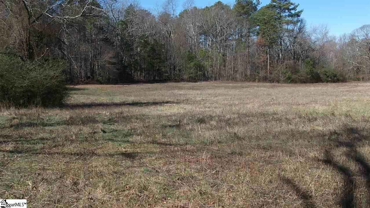 Palmetto Road Pelzer, SC 29669 - Photo 3 of 5 Gallery Image 3