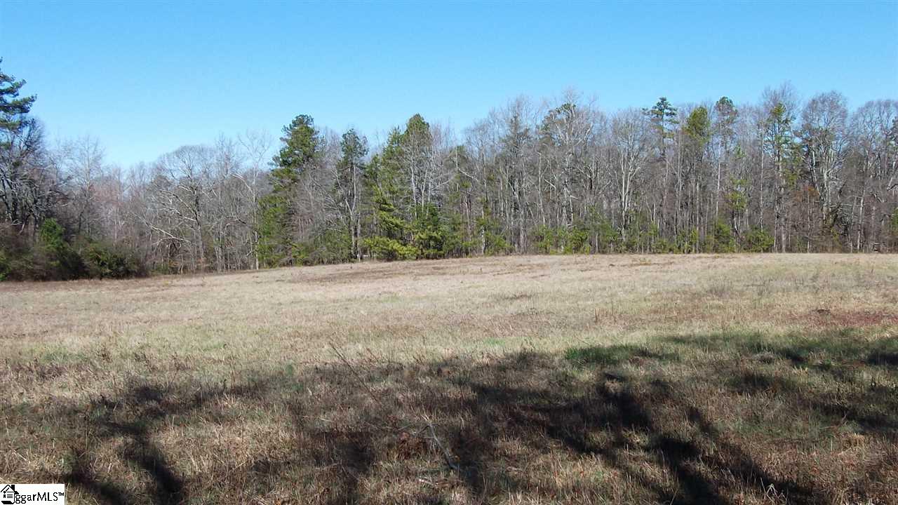 Palmetto Road Pelzer, SC 29669 - Photo 4 of 5 Gallery Image 4