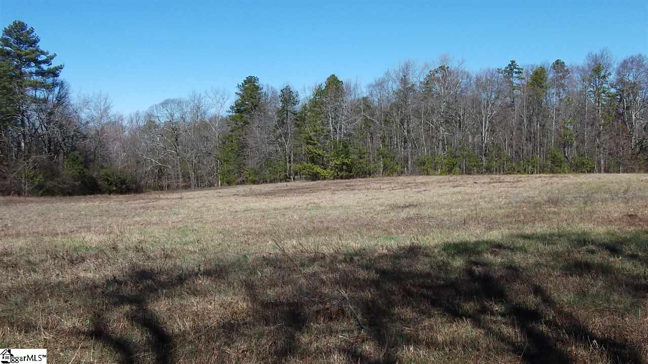 Palmetto Road Pelzer, SC 29669 - Photo 5 of 5 Gallery Image 5