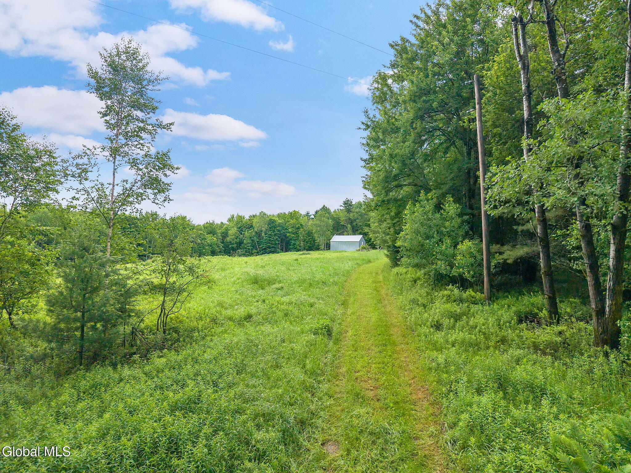 159 Ely Road Gilboa, NY 12076 - Photo 65 of 83 64-159ElyRd_64