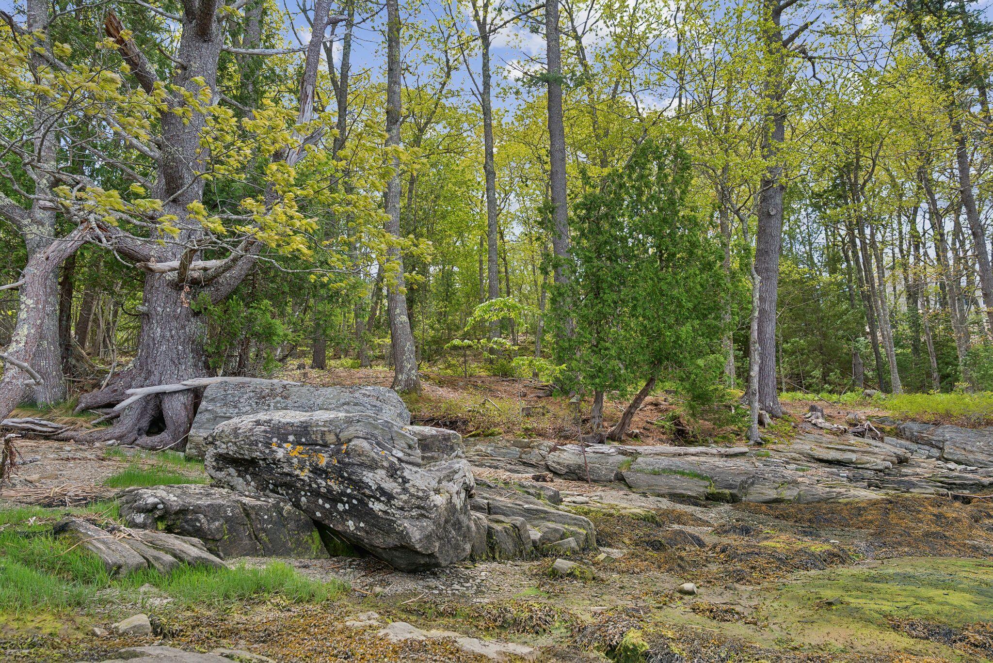 Lot#9 Kennebec Shores Road Phippsburg, ME 04562 - Photo 10 of 20