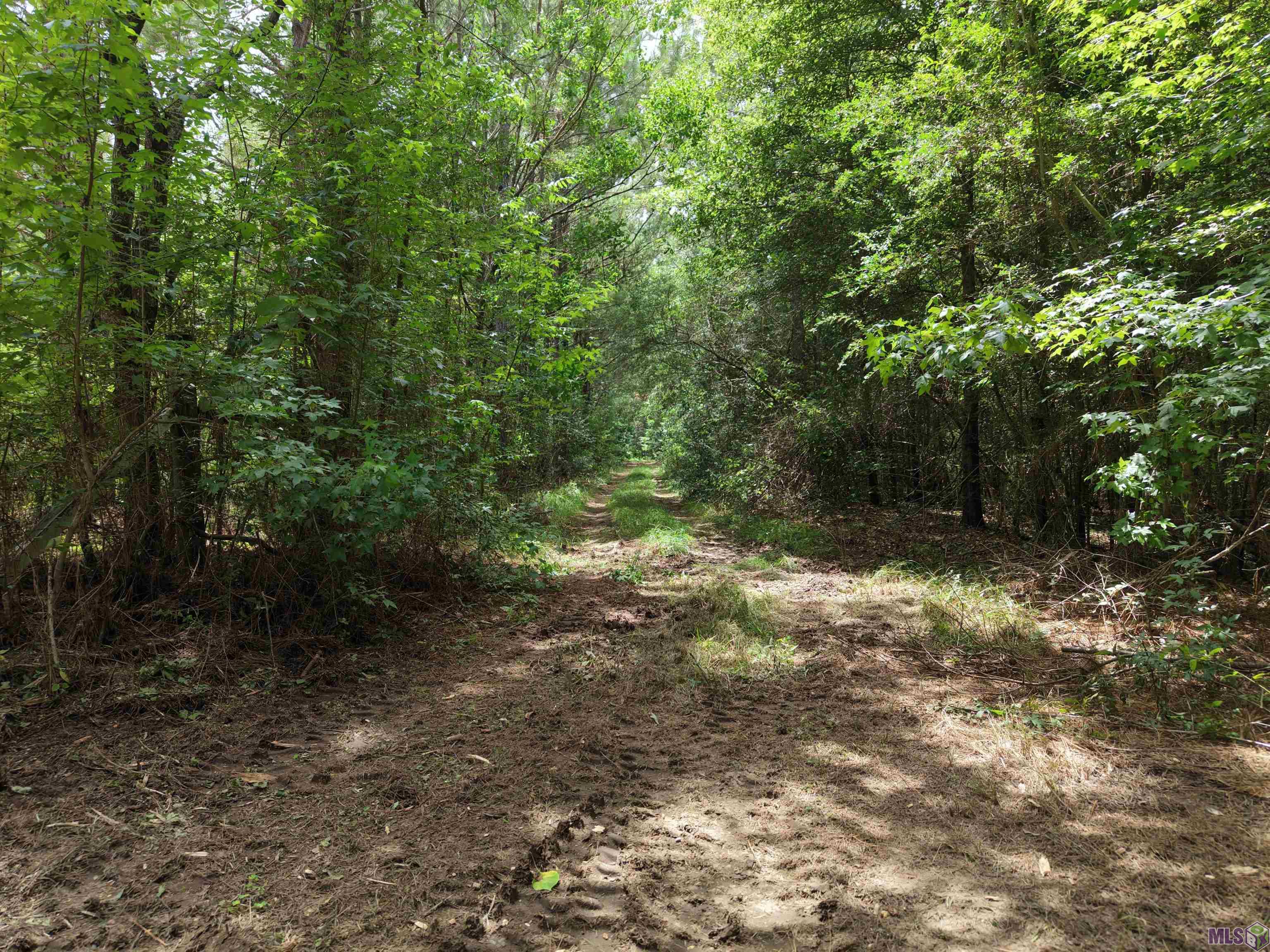 Tract A Jackson Road Amite, LA 70422 - Photo 9 of 10 Gallery Image 9