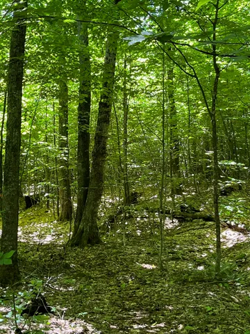 $130,000 | 3 C Westover Road, Jay, VT 05859