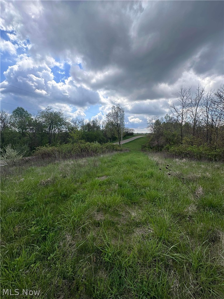 555 South State Route, Unit 13 230 ACRES Chesterhill, OH 43728 - Photo 9 of 20 View of mother earth's splendor