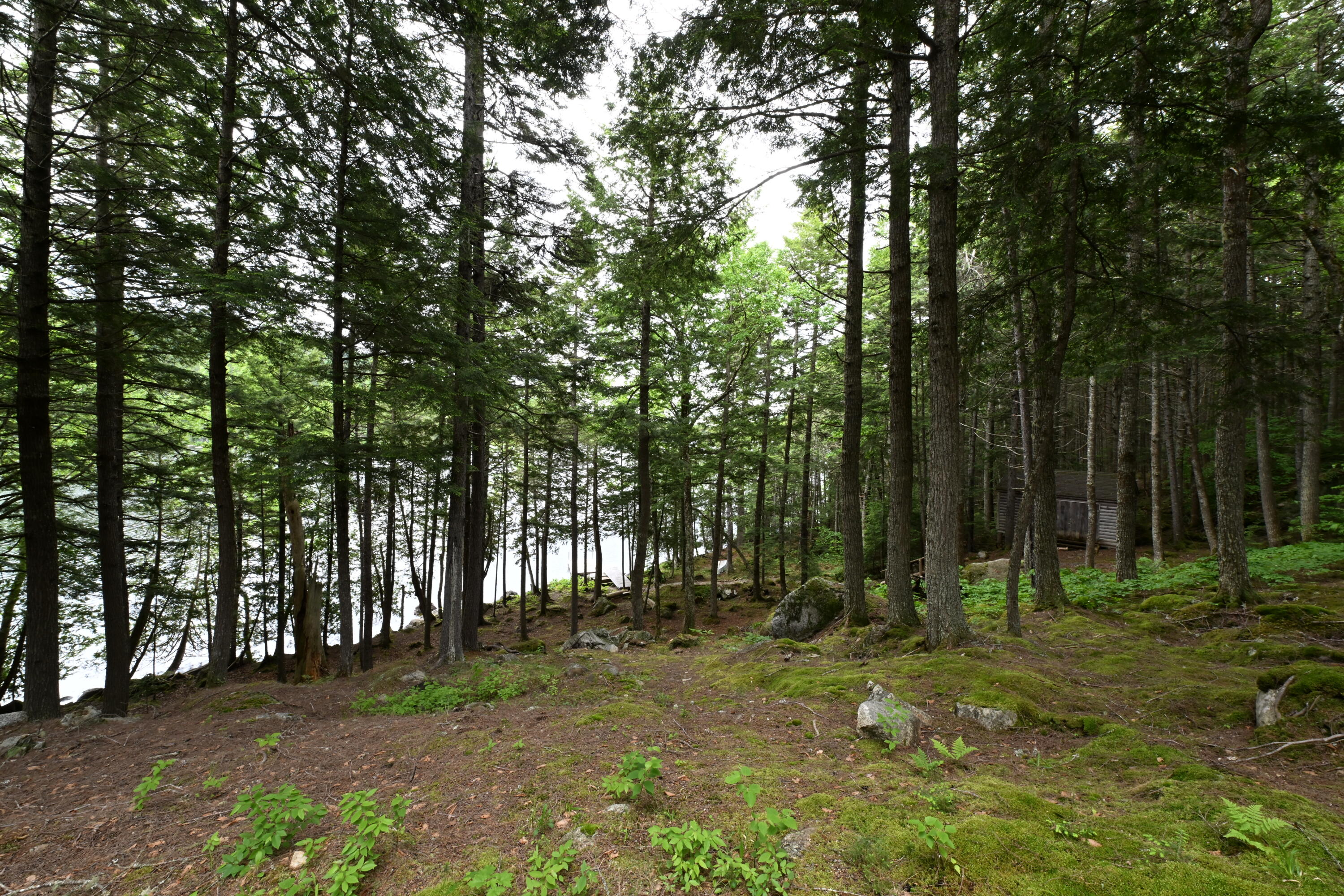 428 Lombard Road Lakeville, ME 04487 - Photo 28 of 35 DSC_2522