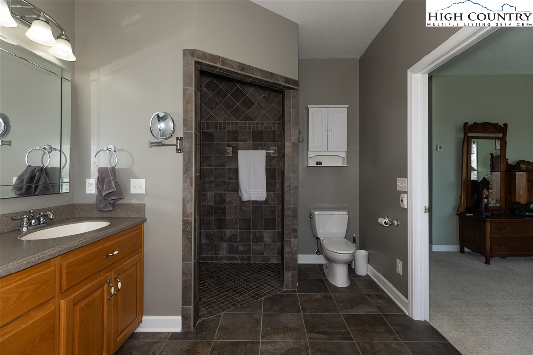 181 Abbey Road McGrady, NC 28649 - Photo 33 of 50 a bathroom with a granite countertop sink a toilet a mirror and shower