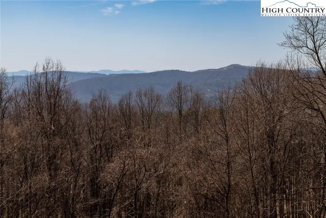 a view of a city with lush green forest
