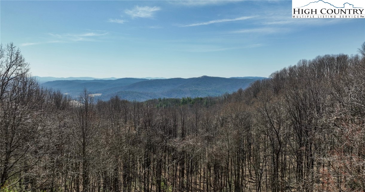 181 Abbey Road McGrady, NC 28649 - Photo 7 of 50 a view of a dry back yard
