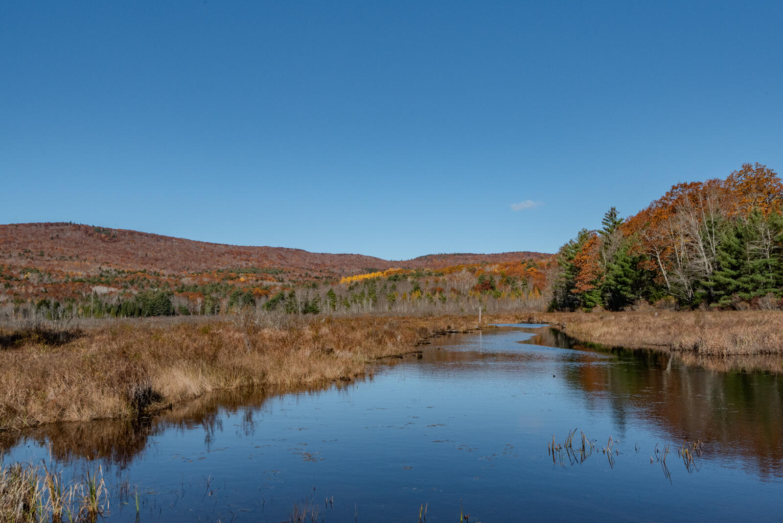 704 Belgrade Road Mount Vernon, ME 04352 - Photo 5 of 89 lakehome_mtvernon095