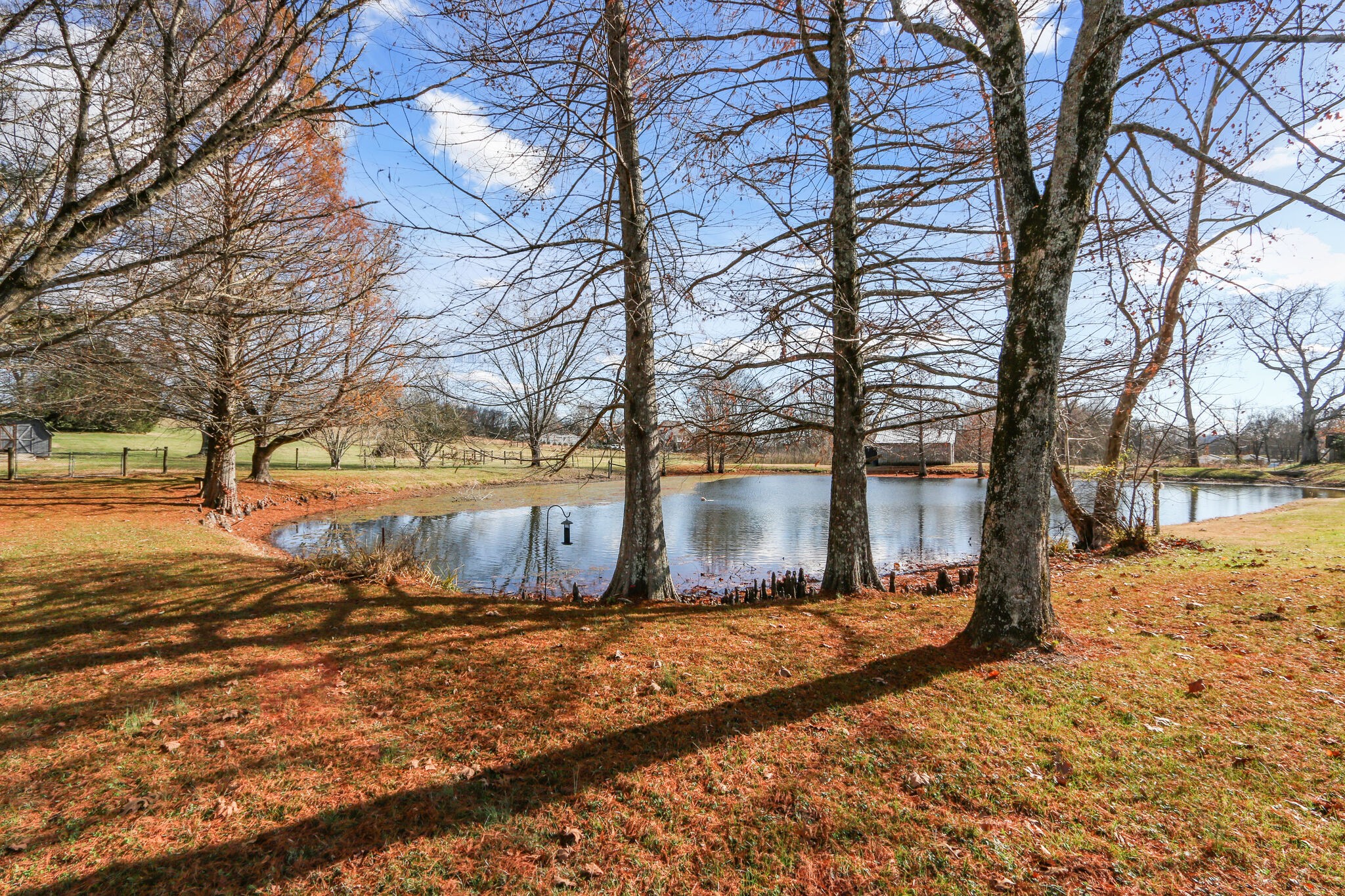 1444 Hardison Road Columbia, TN 38401 - Photo 29 of 33 Gallery Image 29
