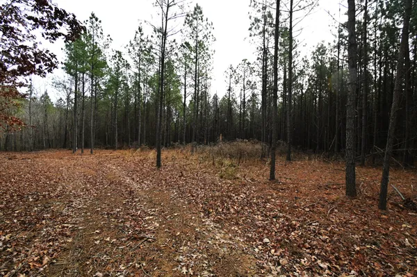 $215,000 | 3105 Waynesboro Highway, Hohenwald, TN 38462