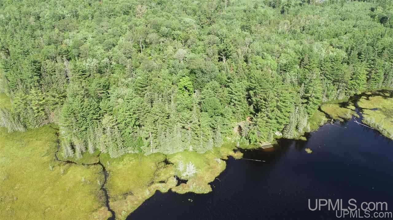 2804-acres Co Rd 442 McMillan, MI 49853 - Photo 13 of 48
