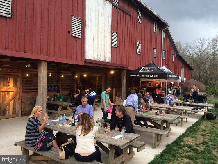 17914 Dr Walling Road Poolesville, MD 20837 - Photo 77 of 86 ....or Rocklands Farms!