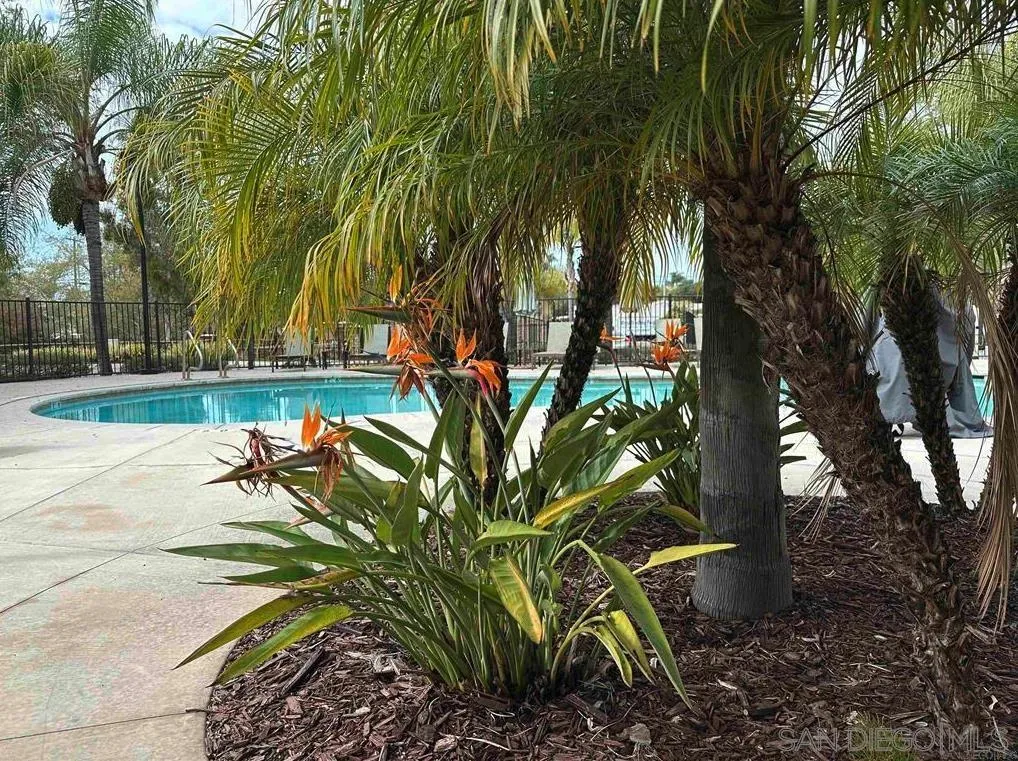 1132 Cherry Tree Lane Vista, CA 92084 - Photo 21 of 26 Melt into the tropical surroundings of the outdoor entertainment spaces