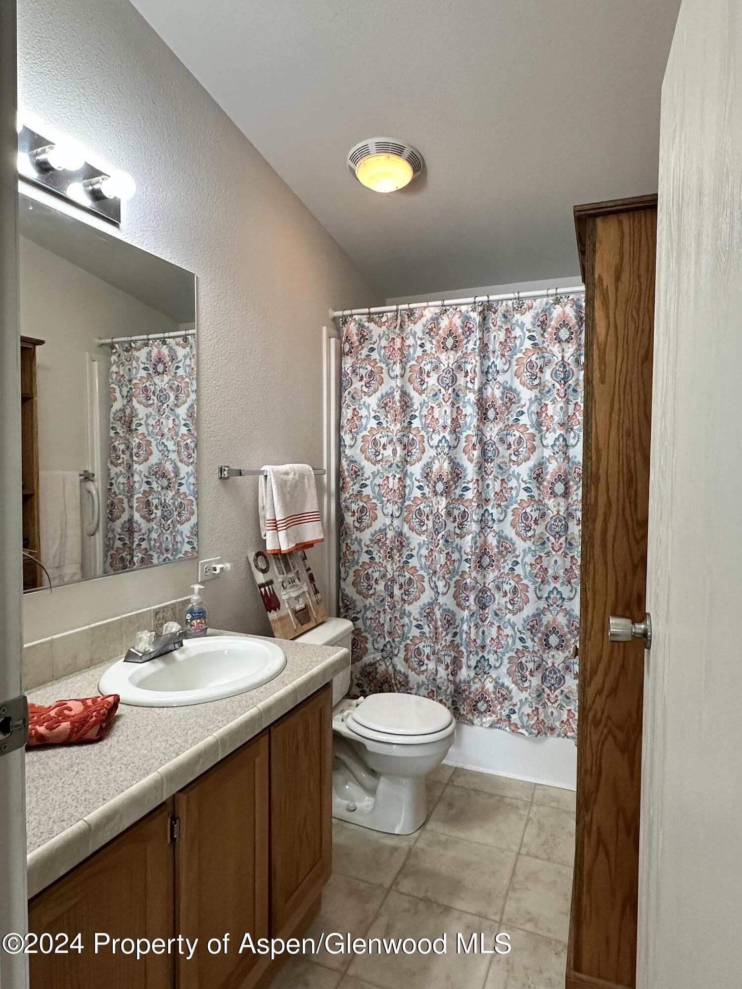 220 Clark Drive El Jebel, CO 81621 - Photo 5 of 12 a bathroom with a sink toilet and shower