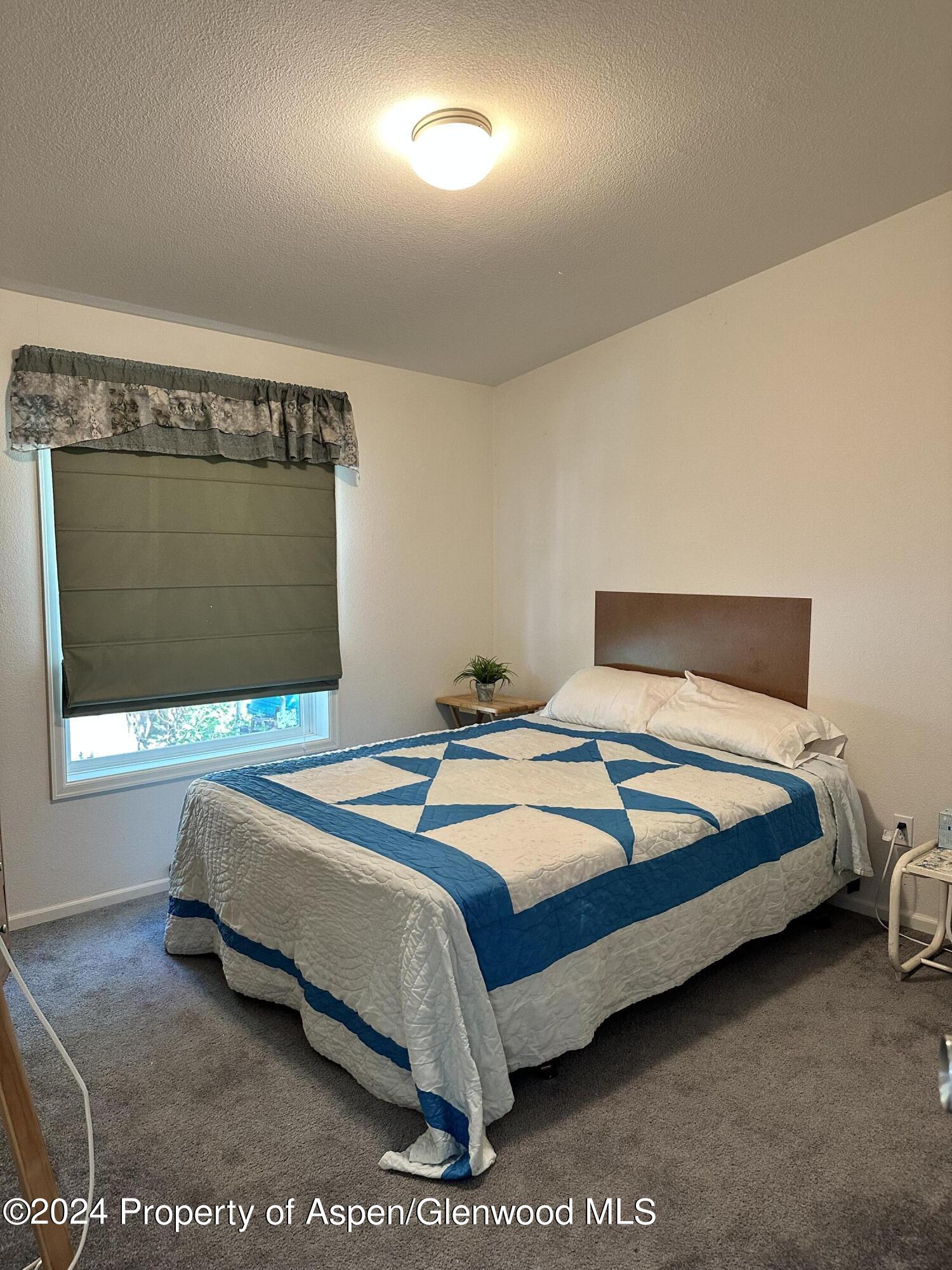 220 Clark Drive El Jebel, CO 81621 - Photo 6 of 12 a bedroom with a bed and window