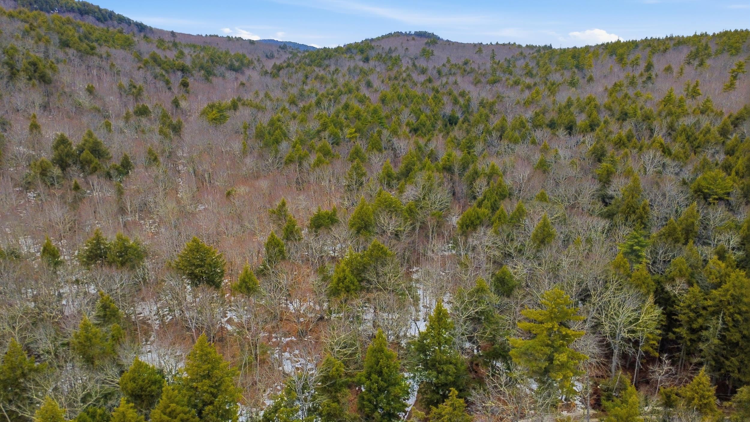 101 North Shore Road New Durham, NH 03855 - Photo 11 of 20