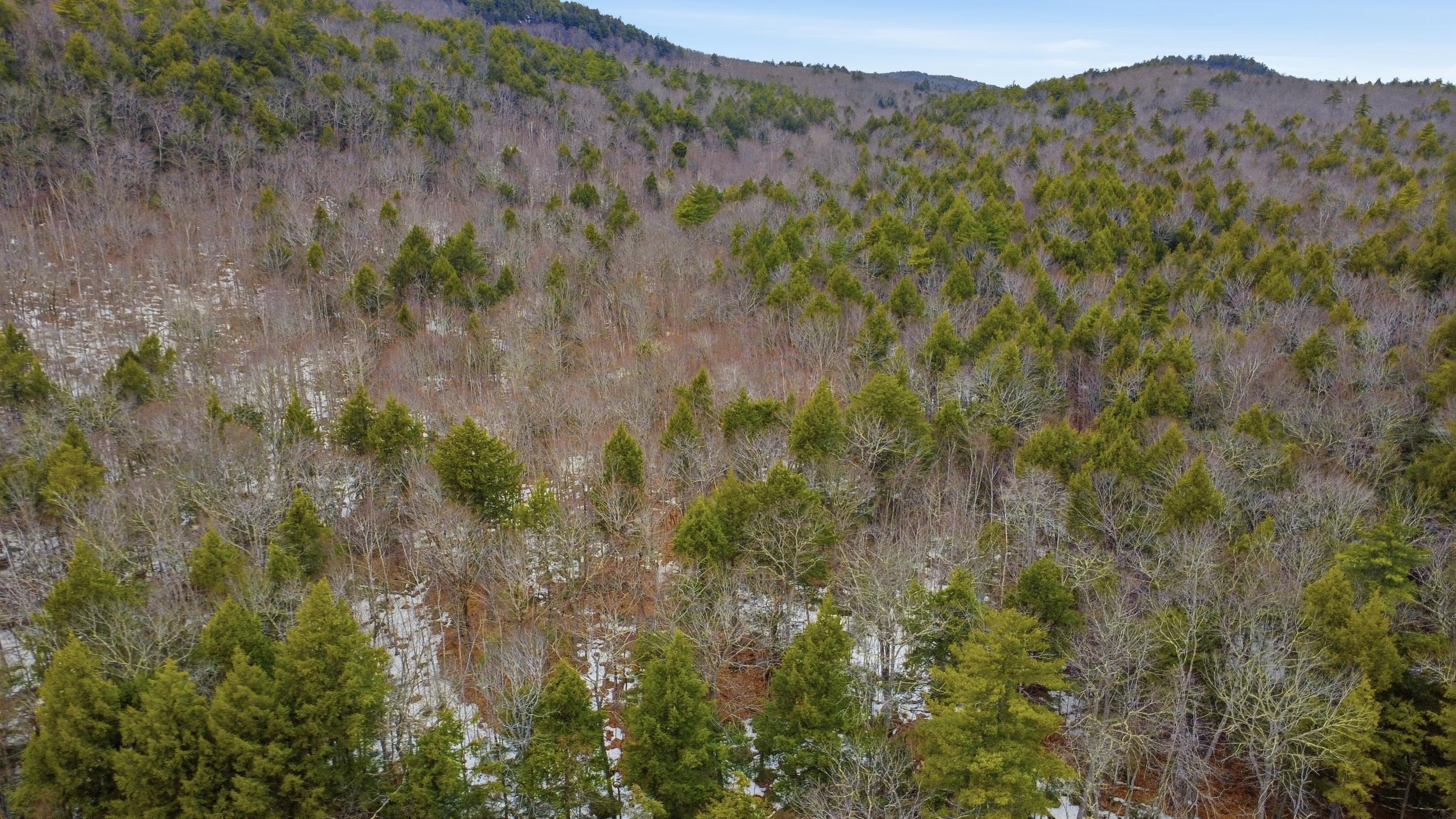 101 North Shore Road New Durham, NH 03855 - Photo 12 of 20