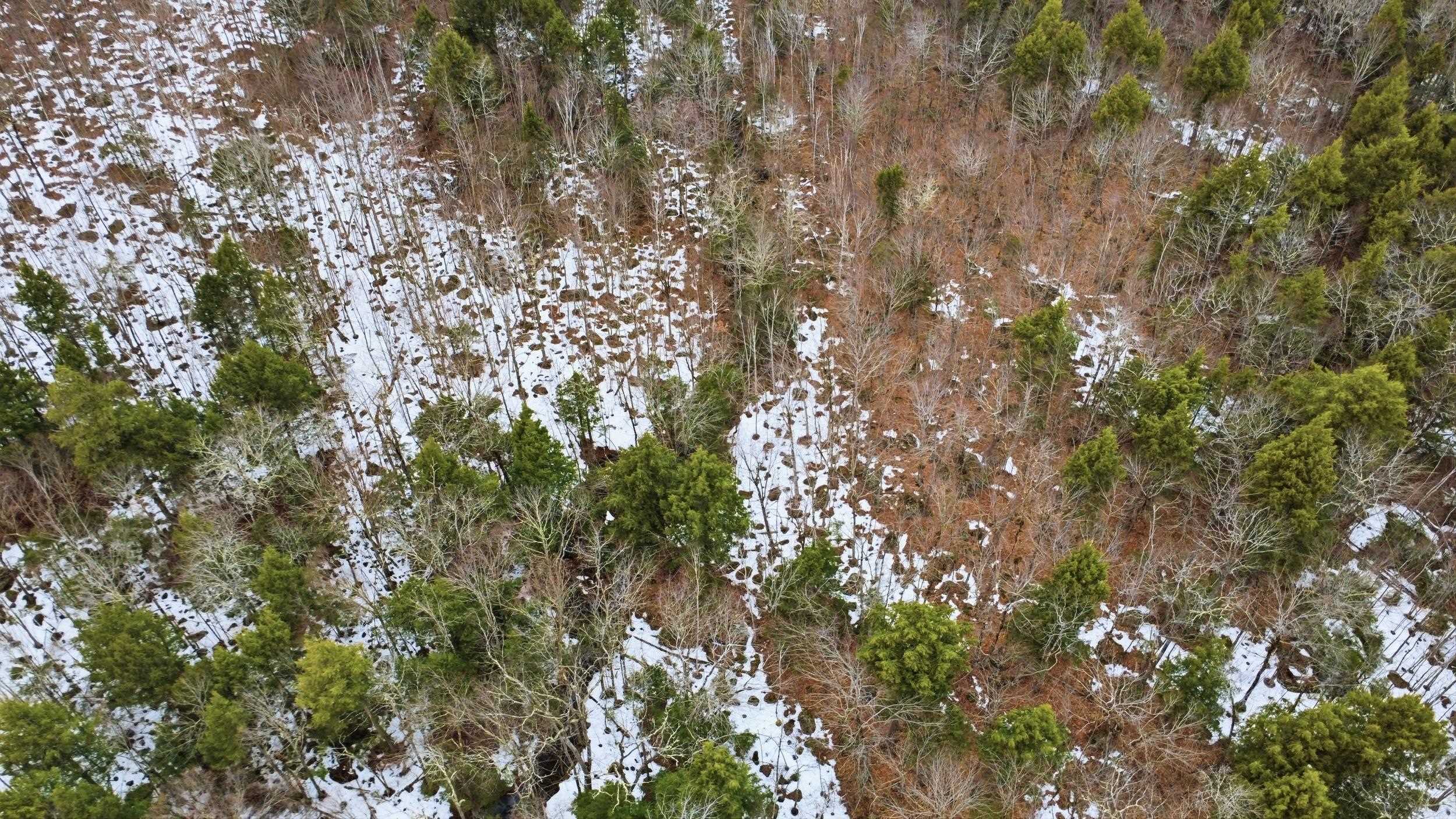 101 North Shore Road New Durham, NH 03855 - Photo 15 of 20