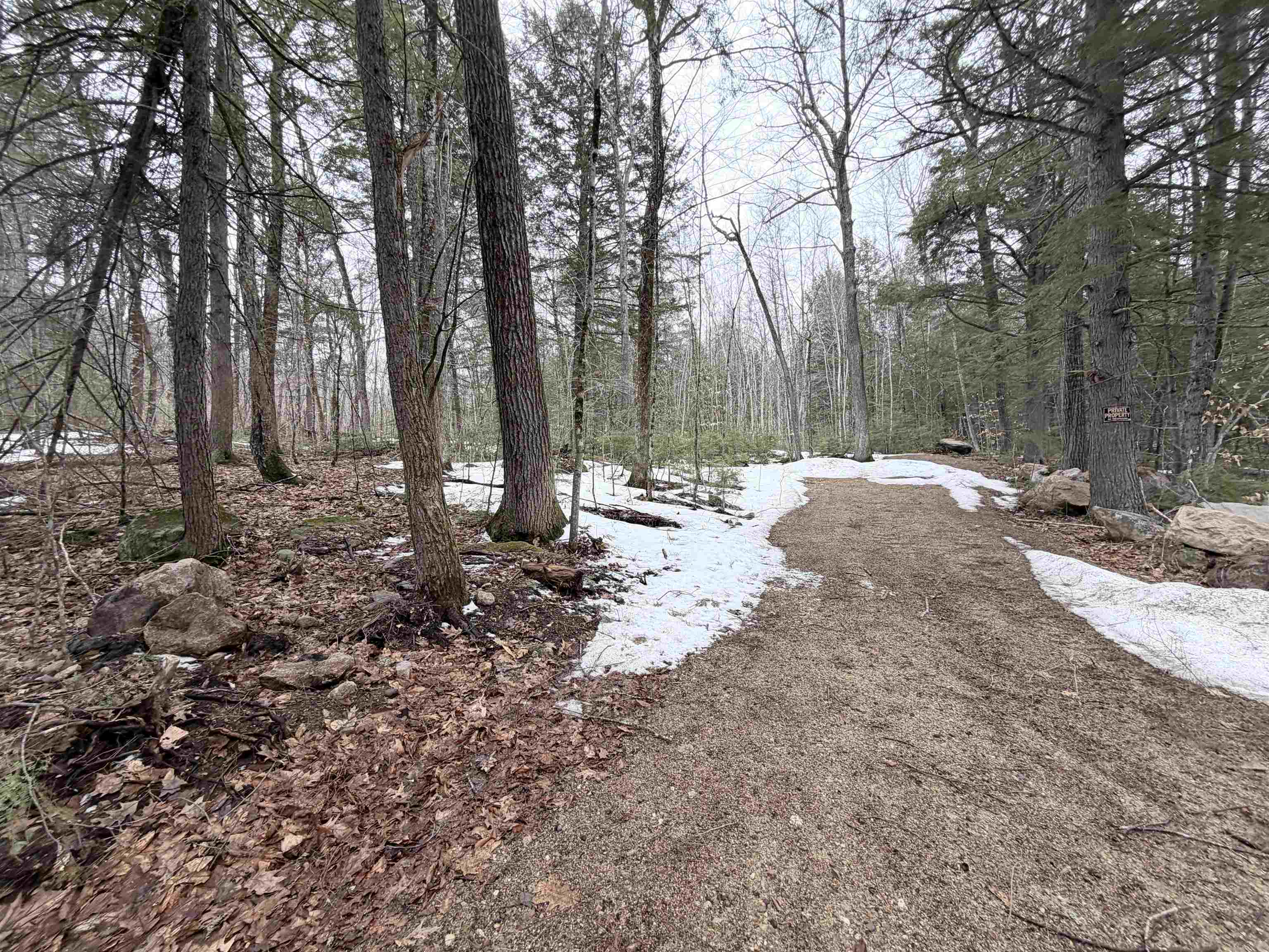 101 North Shore Road New Durham, NH 03855 - Photo 4 of 20