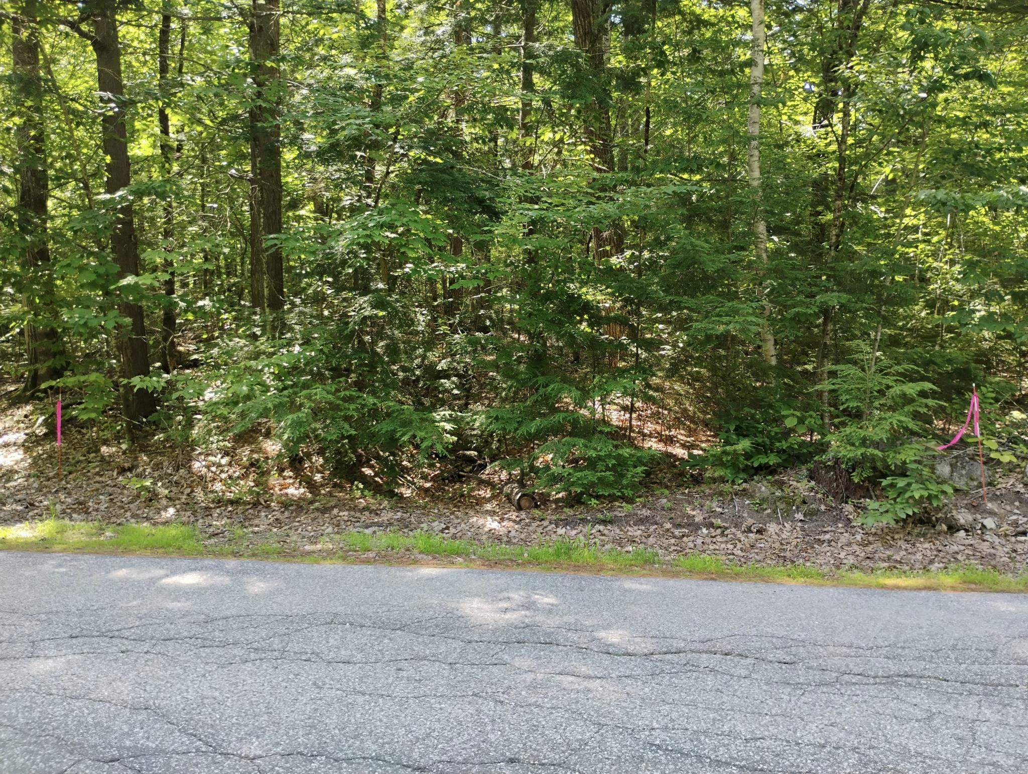 101 North Shore Road New Durham, NH 03855 - Photo 5 of 20