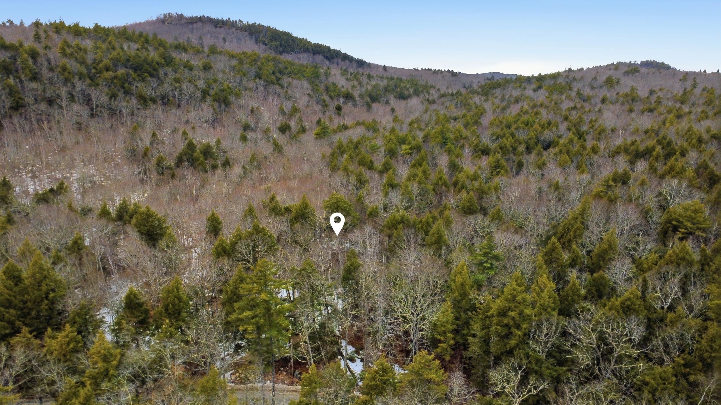 101 North Shore Road New Durham, NH 03855 - Photo 6 of 20