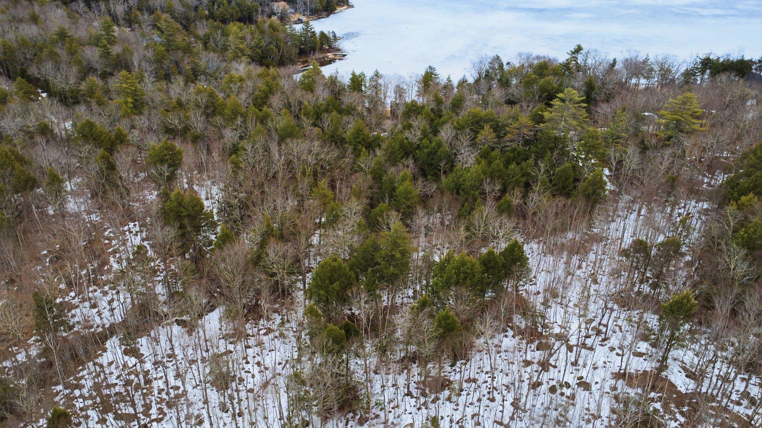 101 North Shore Road New Durham, NH 03855 - Photo 8 of 20