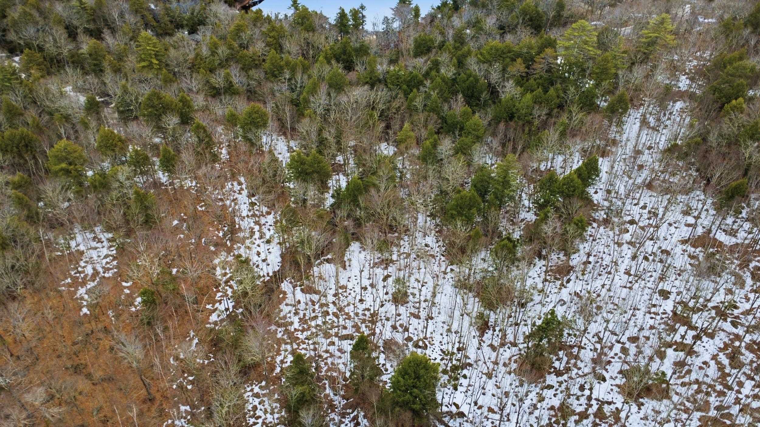 101 North Shore Road New Durham, NH 03855 - Photo 9 of 20