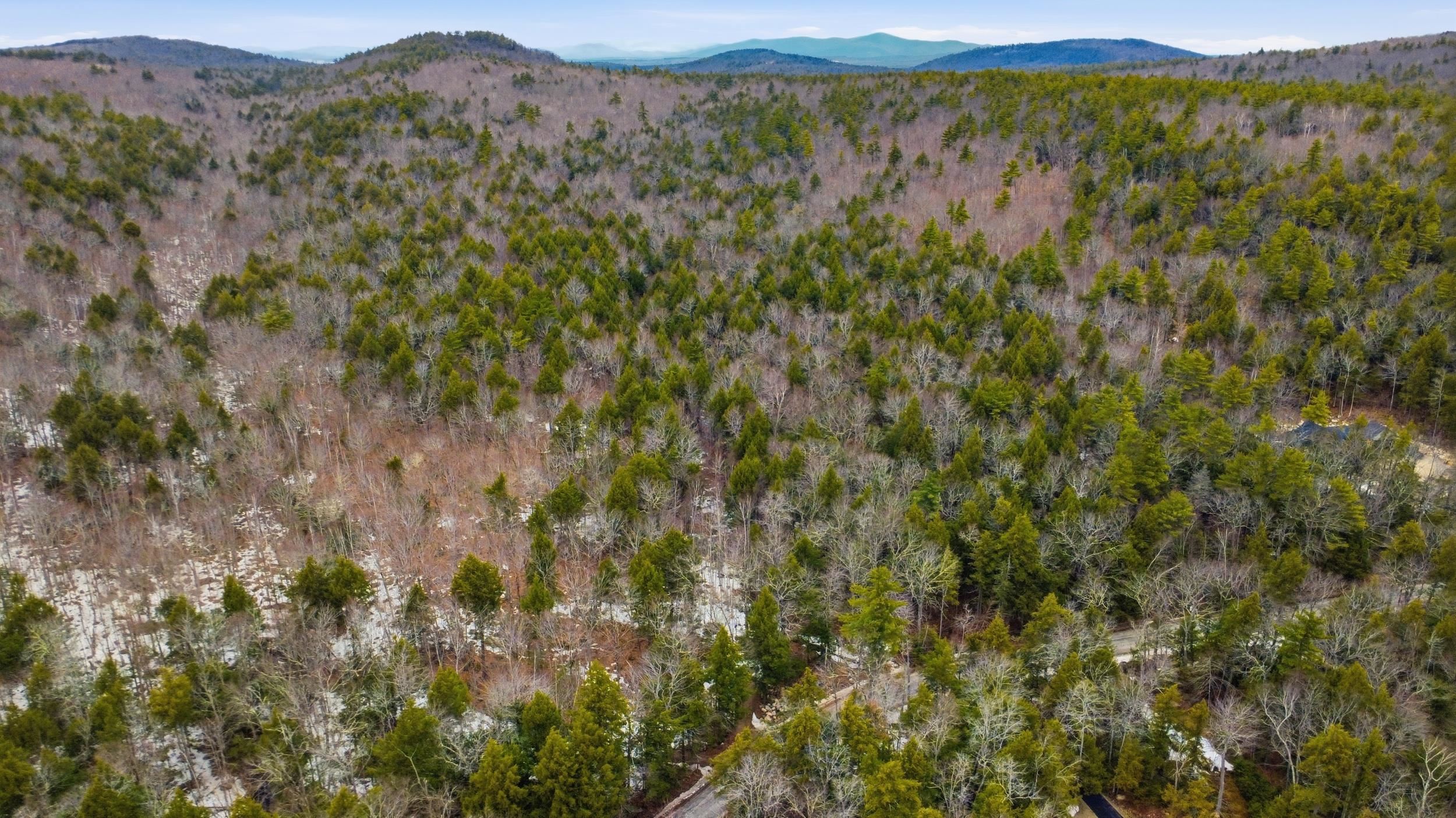 101 North Shore Road New Durham, NH 03855 - Photo 10 of 20