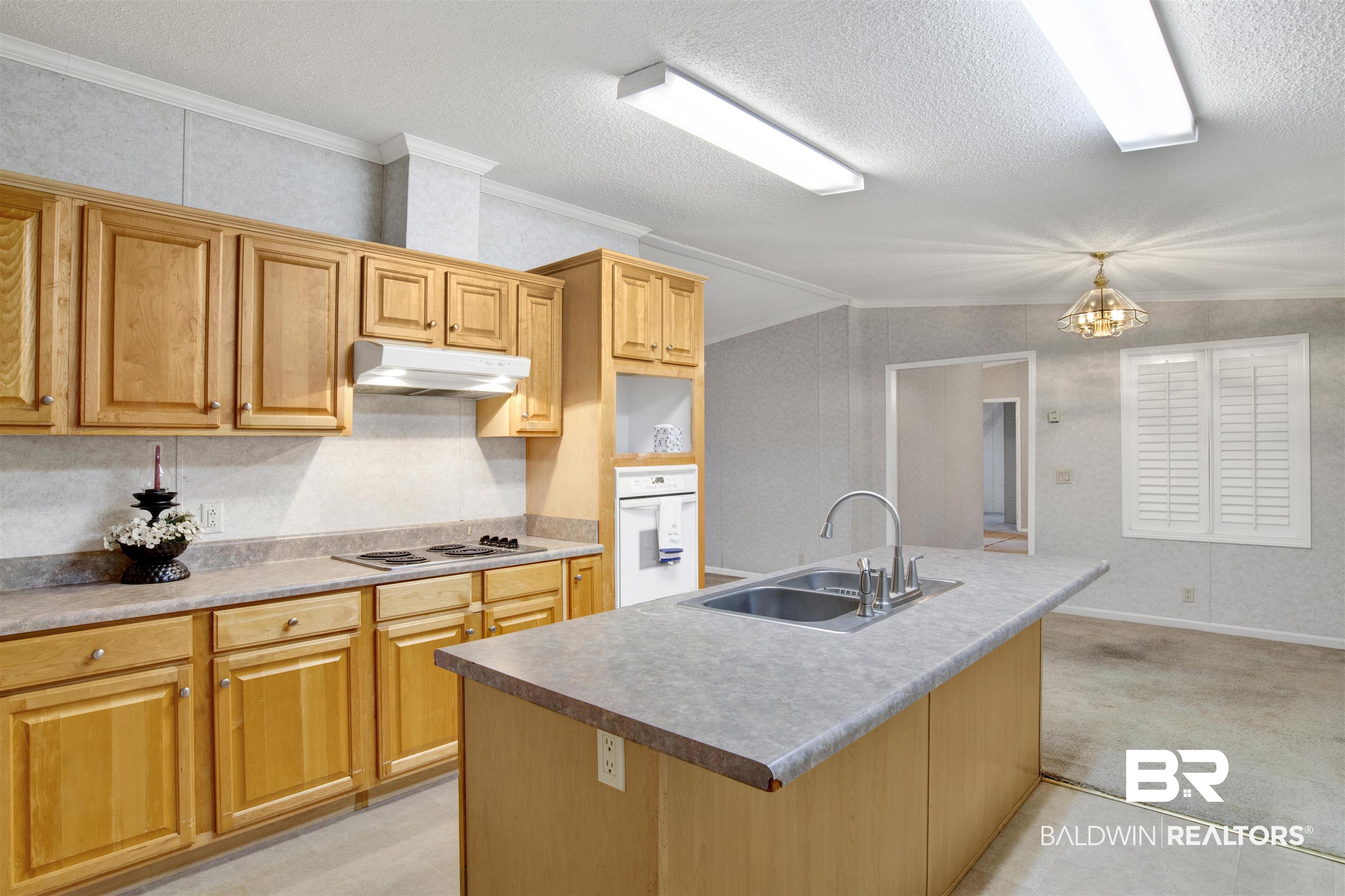 25700 County Road 71 Robertsdale, AL 36567 - Photo 10 of 40 Kitchen featuring under cabinet range hood, oven, stainless steel electric cooktop, a textured ceiling, and light colored carpet