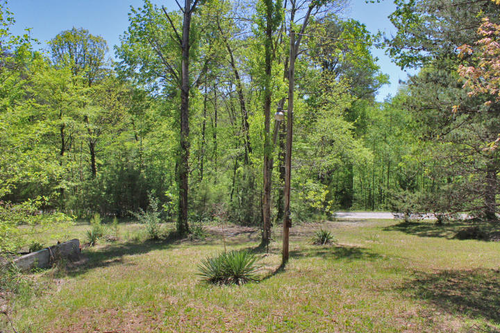 155 Spring Branch Road Nancy, KY 42544 - Photo 2 of 7 IMG_1869