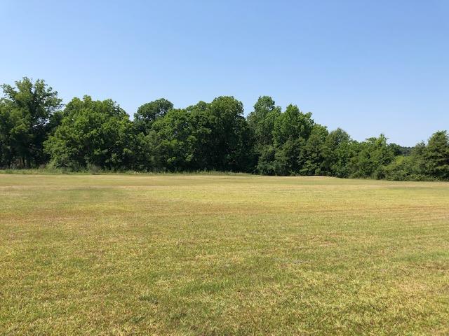 0 Battles Road Dothan, AL 36301 - Photo 1 of 1