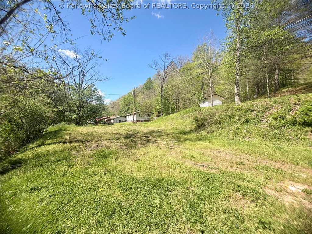 469 Tims Frk Road Chapmanville, WV 25508 - Photo 25 of 30 Gallery Image 25