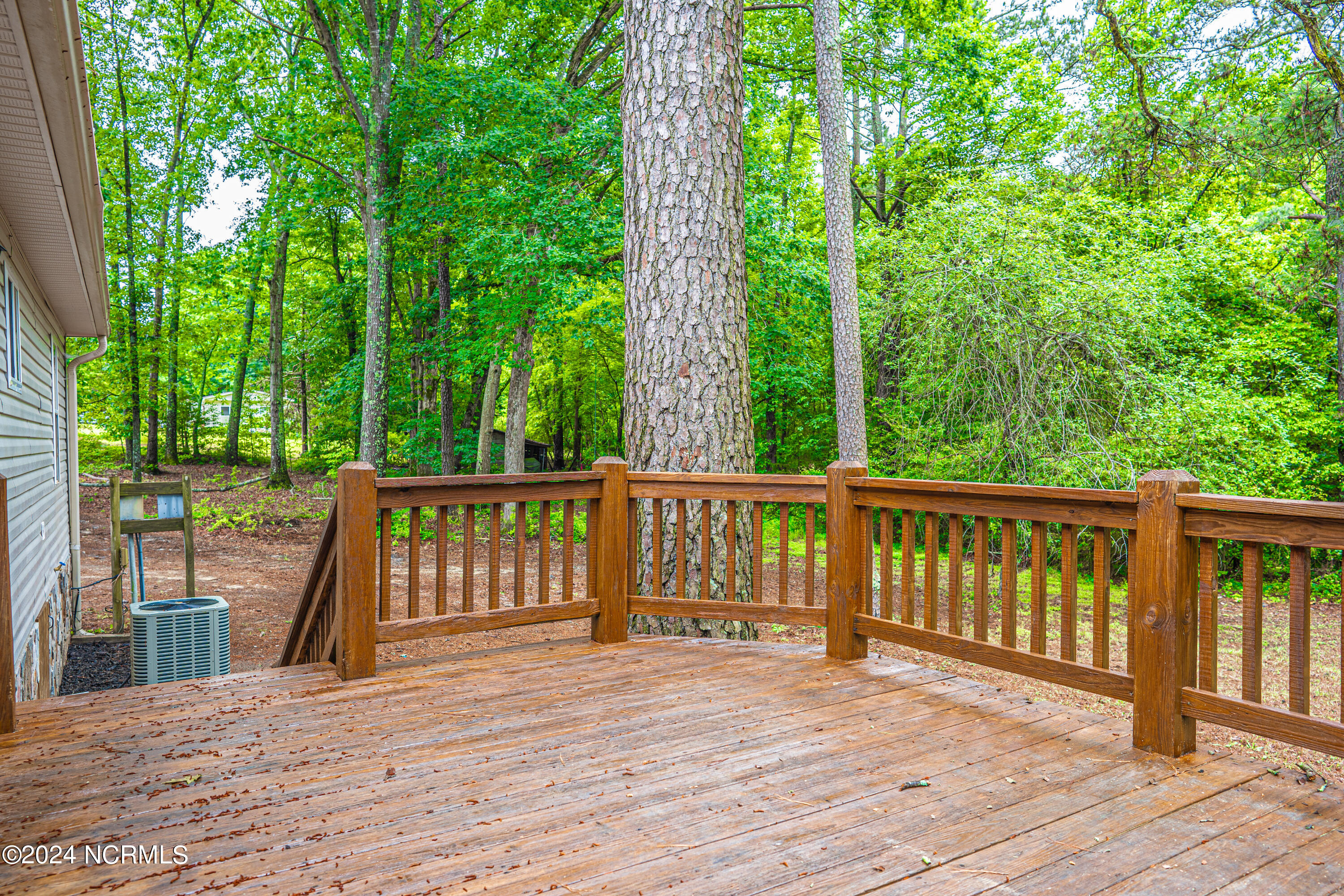 295 Eta Bell Road Eagle Springs, NC 27242 - Photo 43 of 47 DSC03745