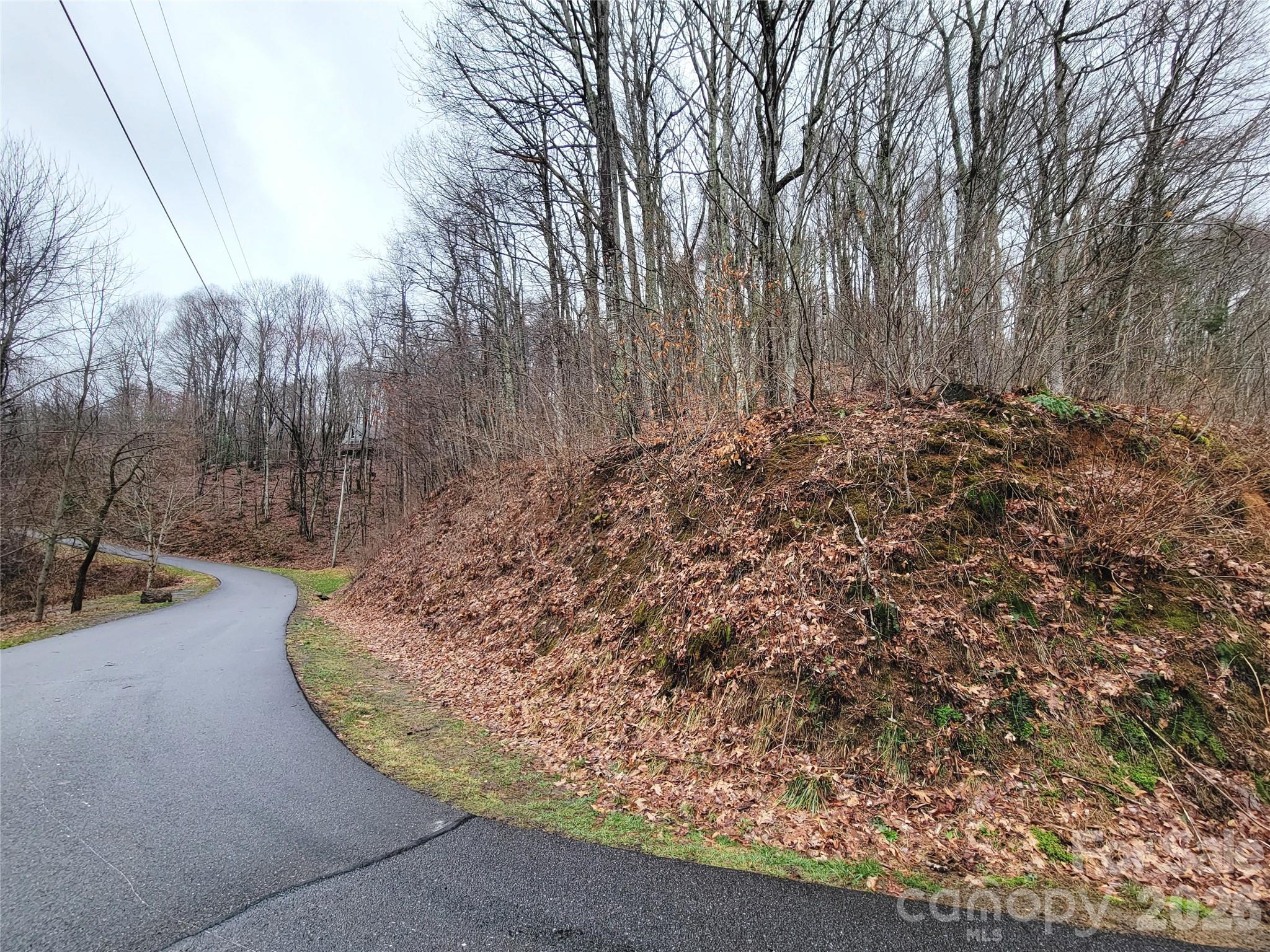 820 Chestnut Flats Road, Unit 4 Waynesville, NC 28786 - Photo 11 of 20