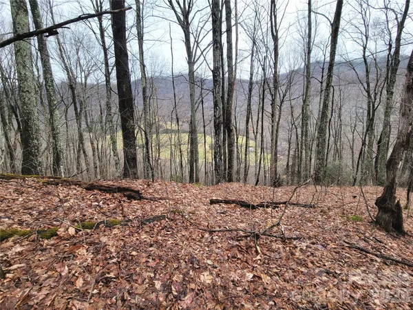 $75,000 | 820 Chestnut Flats Road, Unit 4, Waynesville, NC 28786