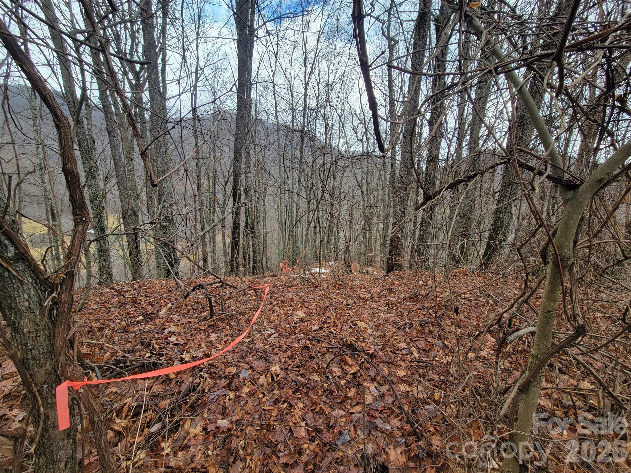 820 Chestnut Flats Road, Unit 4 Waynesville, NC 28786 - Photo 13 of 20